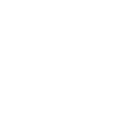 Gestión integral en la implementación de proyectos.